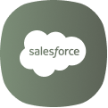 Salesforce Certification Program